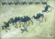 Camel caravan 2.jpg